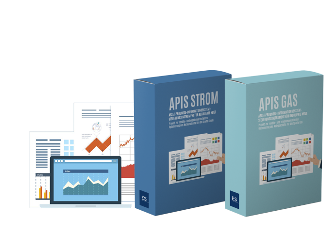 APIS STROM &amp; GAS - Unser Steuerungsinstrument für Ihre regulierten Netze